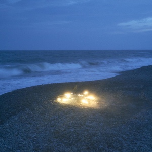 男人日女人屄视频
